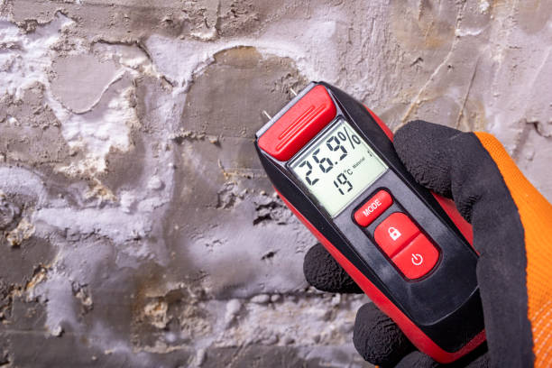 Best Kitchen Mold Remediation in Los Molinos, CA