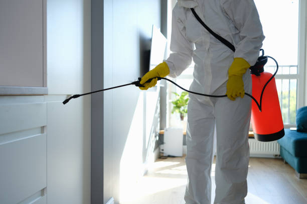 Best Health and Safety Mold Remediation in Los Molinos, CA